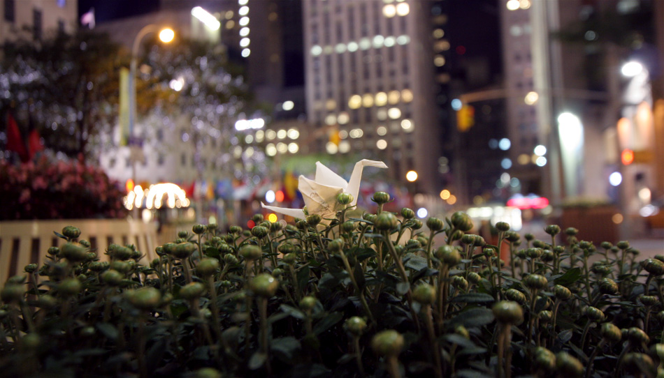 Alice NYC 138