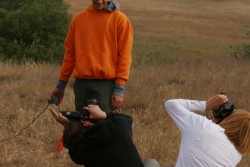 paparazzi